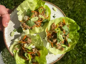 Asian Turkey Lettuce Wraps