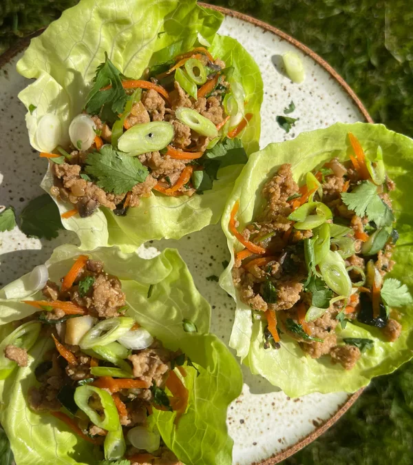 Asian Turkey Lettuce Wraps